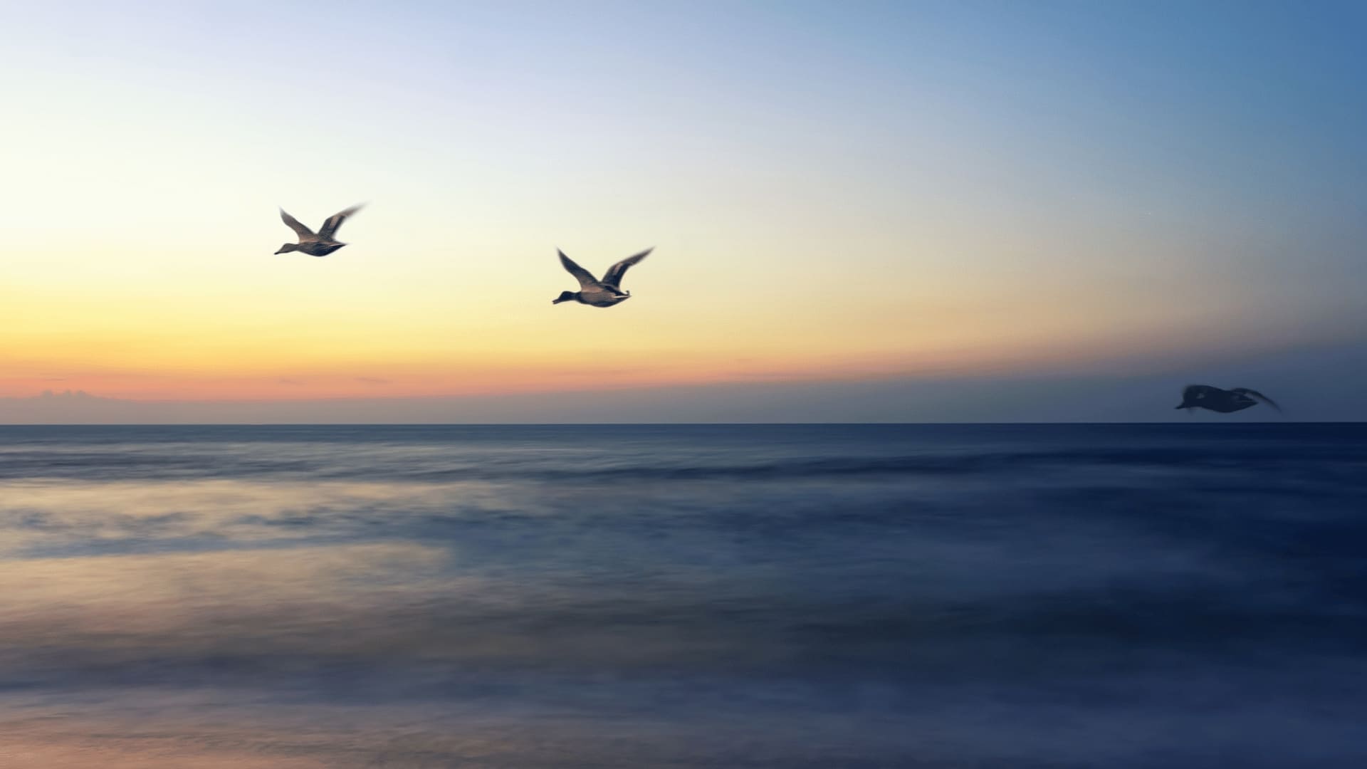 Depression, Grief, and Anxiety